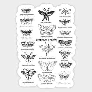 Vintage Butterfly Collection Pattern Sticker
